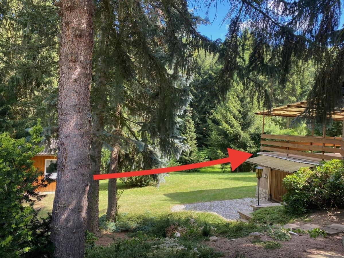 Residenz Waldfrieden Villa Garnsdorf Exteriör bild